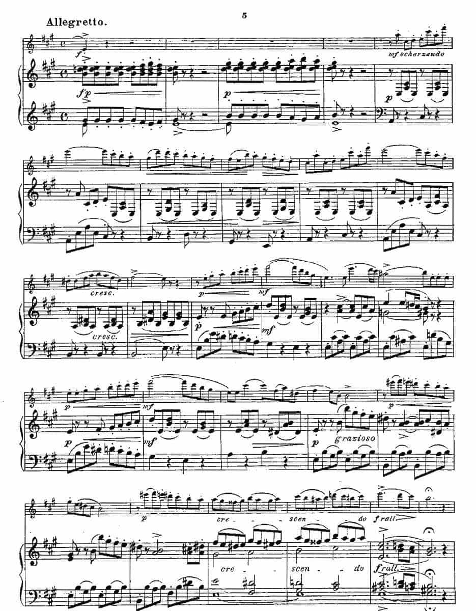Opern-Transcriptionen.Op.45-4（长笛+钢琴伴奏） 长笛乐谱_第3张
