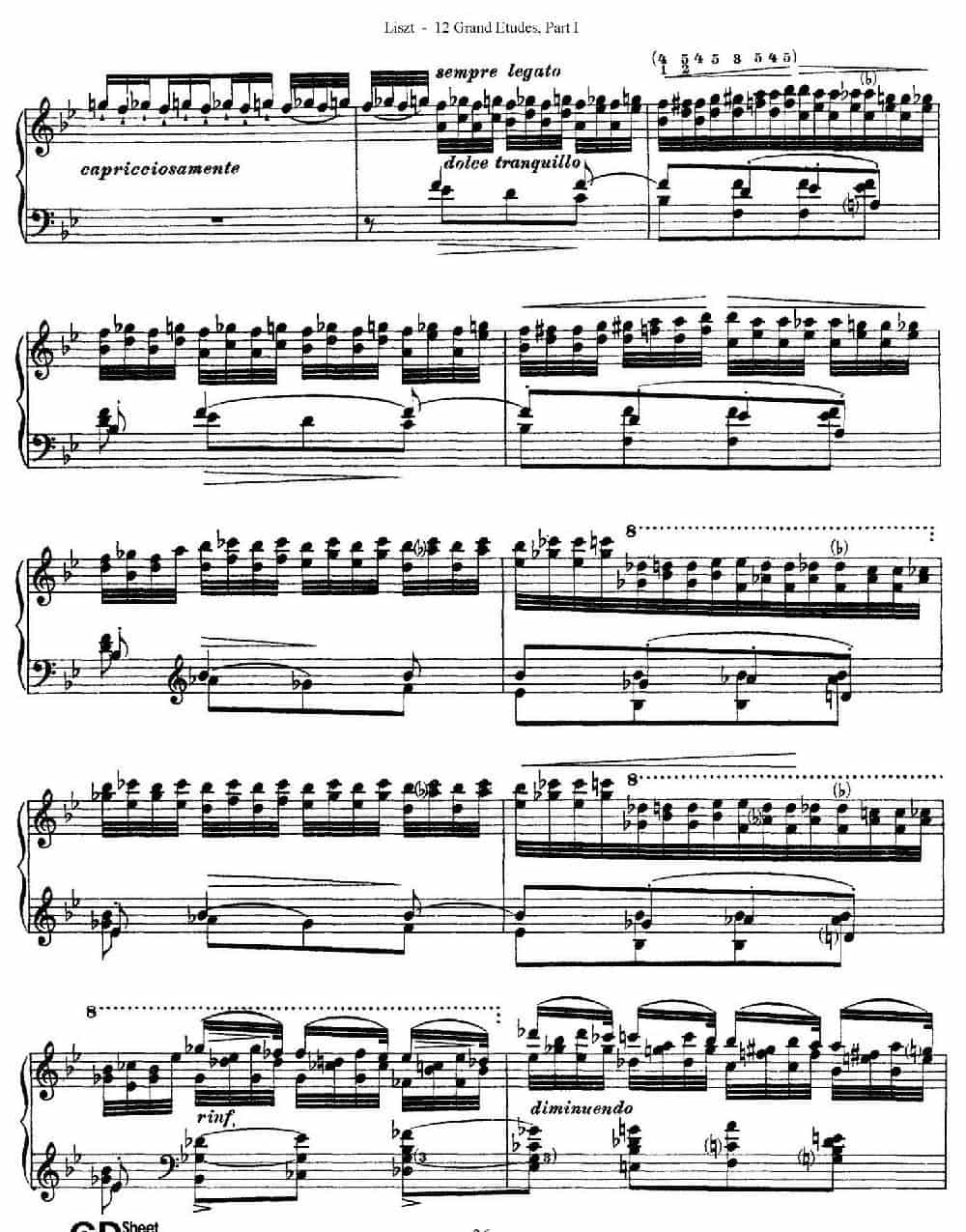 12 Grand Etudes S.137（12首华丽的练习曲·5） 钢琴乐谱_第2张