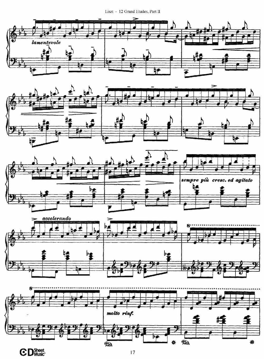12 Grand Etudes S.137（12首华丽的练习曲·8） 钢琴乐谱_第7张