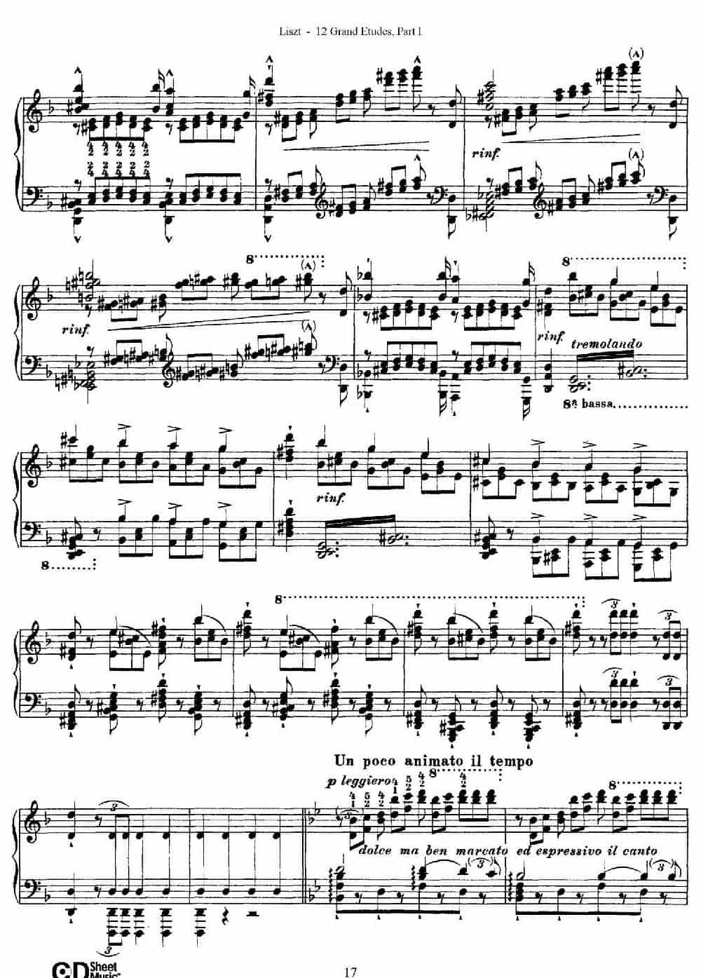 12 Grand Etudes S.137（12首华丽的练习曲·4） 钢琴乐谱_第5张