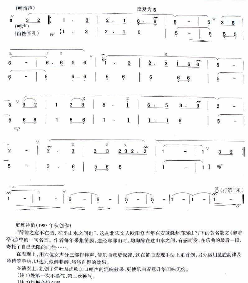 瑯琊神韵 笛箫乐谱_第3张