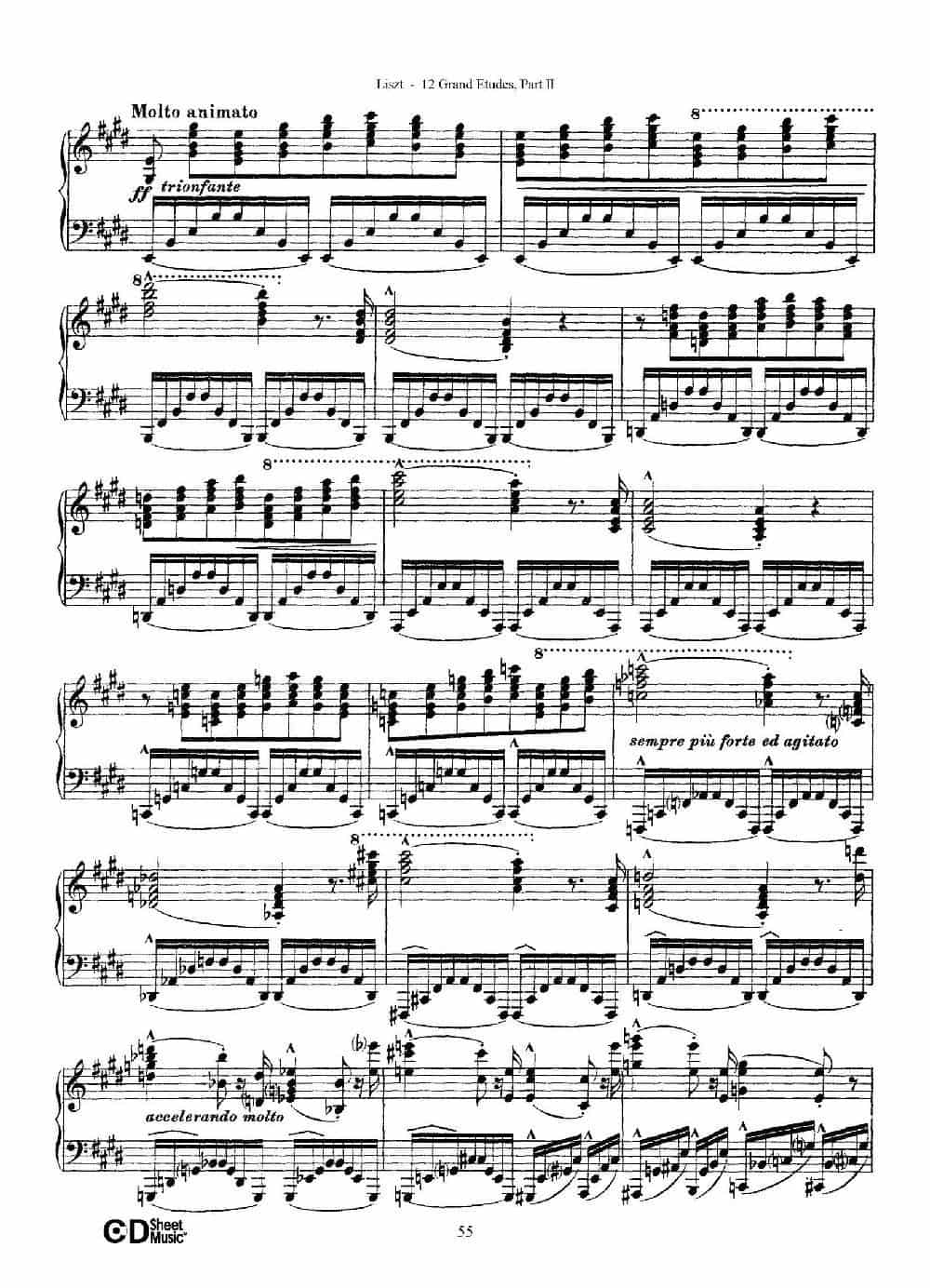 12 Grand Etudes S.137（12首华丽的练习曲·11） 钢琴乐谱_第5张