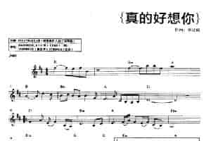 真的好想你 电子琴乐谱